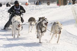 Lenk 2012 SM